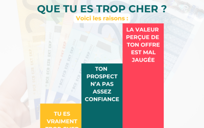 Assistante Virtuelle : Vos clients vous pensent trop chère ?